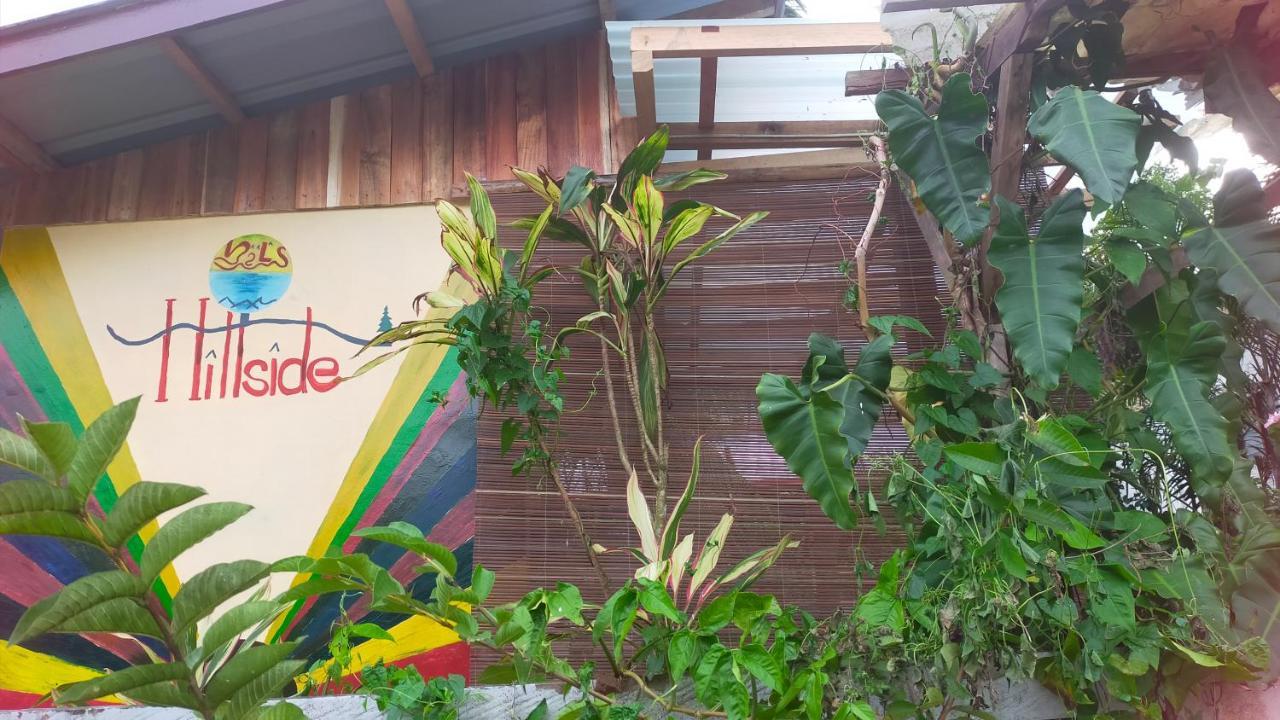 Mil'S Hillside Tourist Inn San Vicente  Ngoại thất bức ảnh