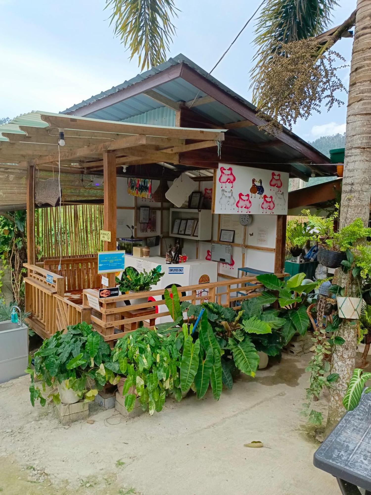 Mil'S Hillside Tourist Inn San Vicente  Ngoại thất bức ảnh
