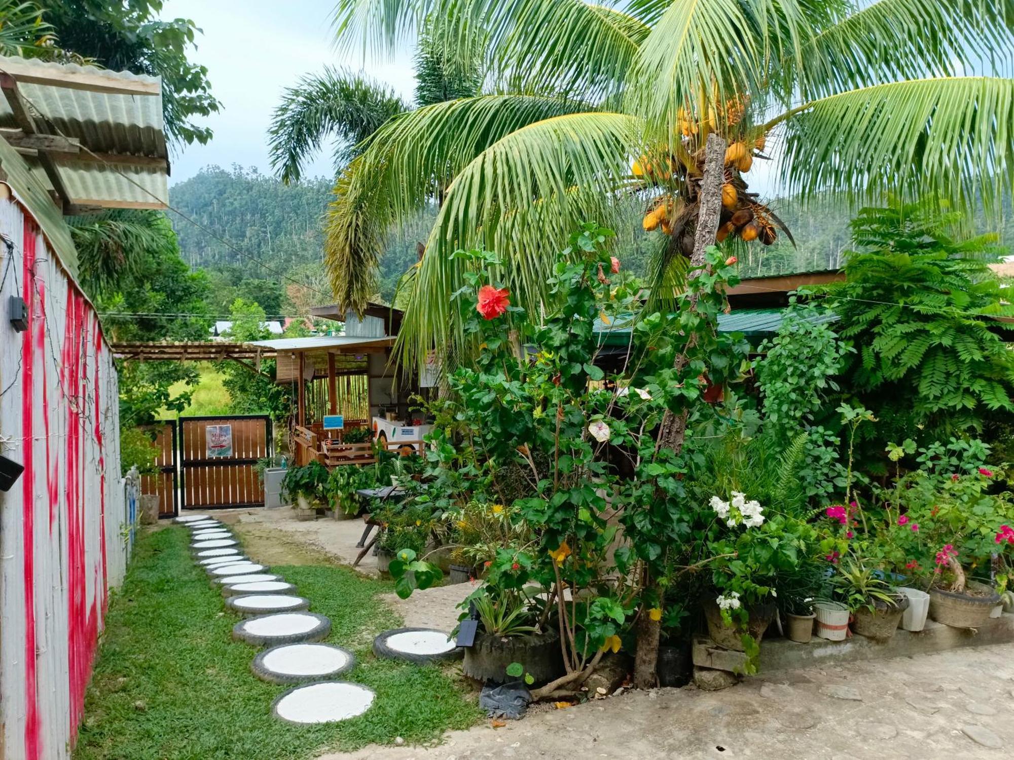 Mil'S Hillside Tourist Inn San Vicente  Ngoại thất bức ảnh